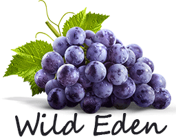 Wild Eden Self Catering Chalets